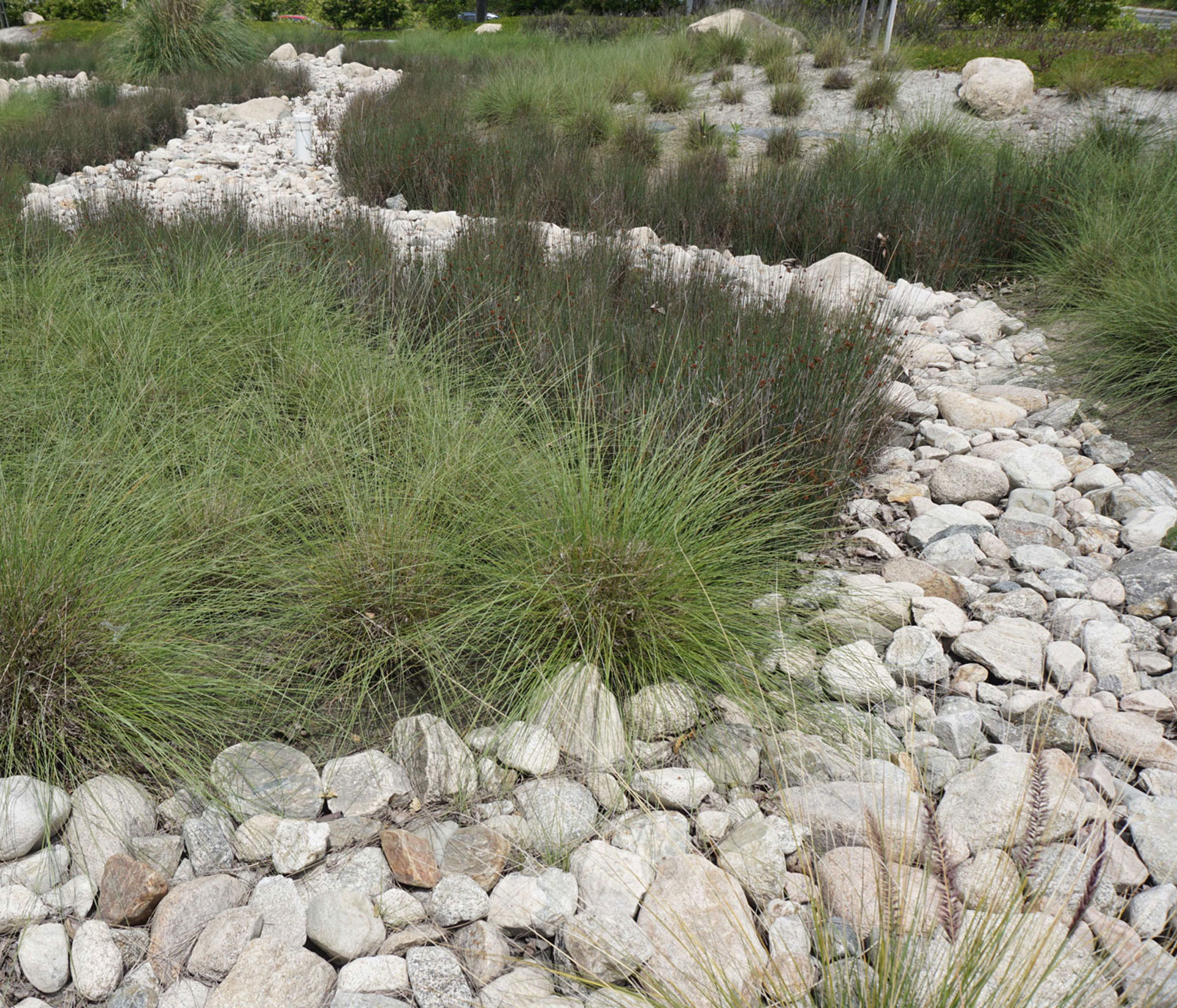 modular wetland systems, bioretention stormwater management, catch basin filter, bmp maintenance