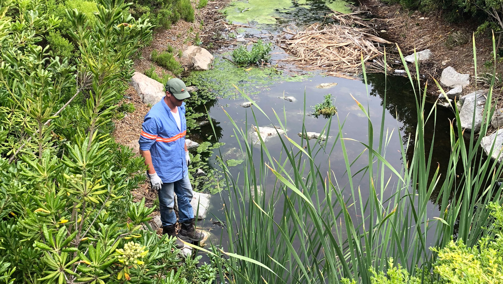 Stormwater inspections, stormwater management, storm water management services,