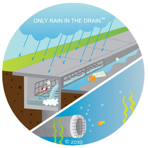 Only-rain-in-the-drain